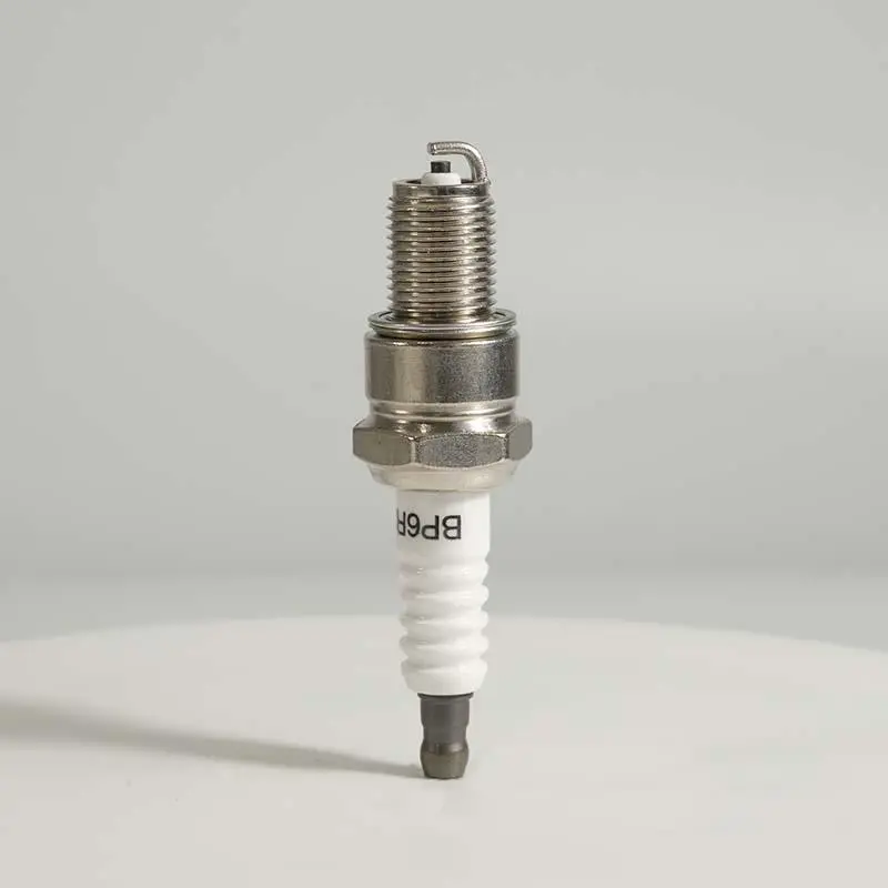 Enchufe de chispa del motor Iridium F6RTC